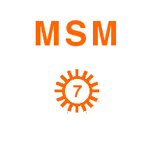 MSM party flag